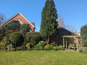 Photo 27- click for photo gallery